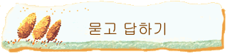  ϱ